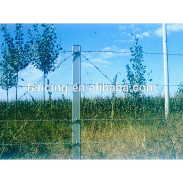 Electric galvanized iron wires Barbed Wire mesh fence